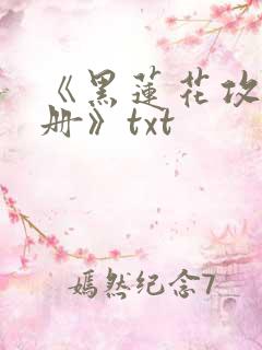 《黑莲花攻略手册》txt