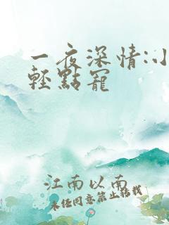 一夜深情:小叔轻点宠