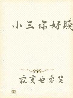 小三你好贱下载