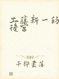 工藤新一的日本后宫