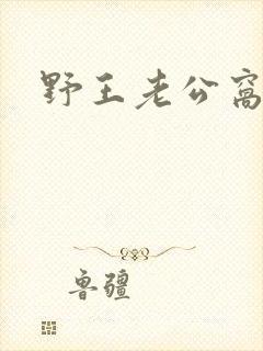 野王老公窝