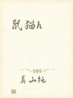 鼠猫h