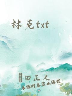 林克txt
