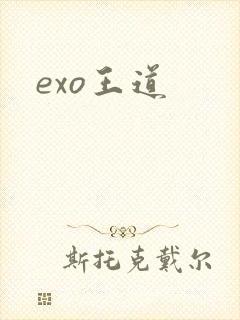exo王道
