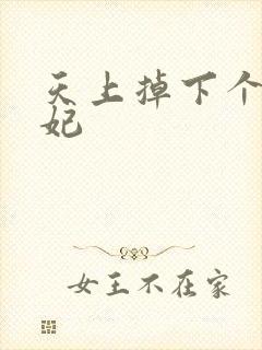 天上掉下个奇王妃