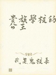 贵族学校的双面公主