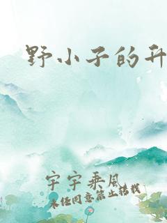 野小子的升官路