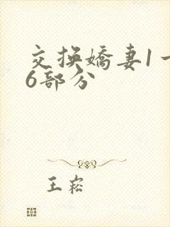 交换娇妻1一36部分