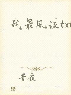 我最风流txt