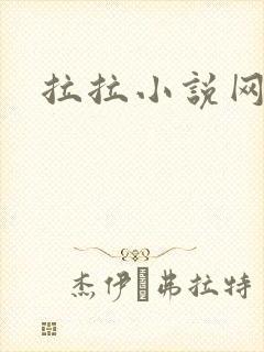 拉拉小说网