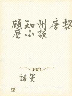 顾知州唐黎叫什么小说