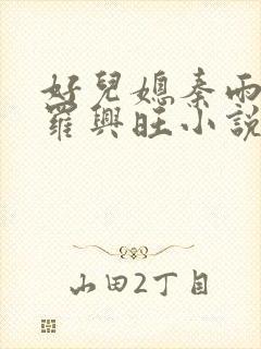 好儿媳秦雨罗明罗兴旺小说