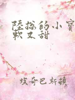 陆总的小宝贝又软又甜