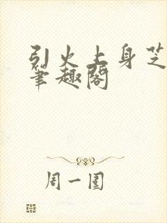 引火上身芝麻糖笔趣阁