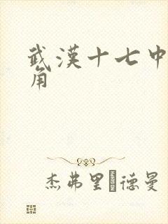 武汉十七中女主角