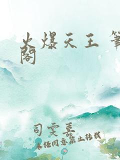 火爆天王 笔趣阁