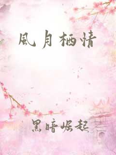 风月栖情
