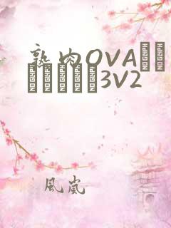 熟肉OVAちゃんはしたい3V2