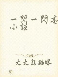 一闪一闪亮晶晶小说