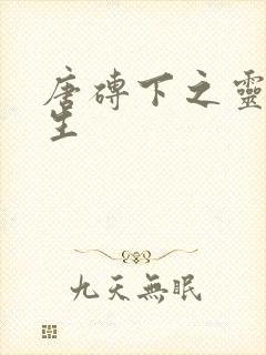 唐砖下之灵域双生