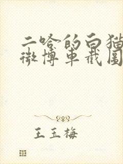 二哈的白猫师尊微博车截图