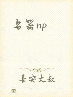 名器np
