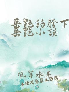 岳艳的胯下做爰岳艳小说