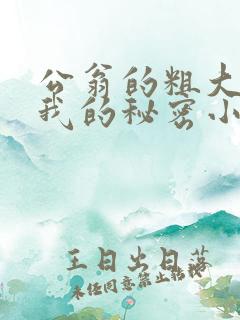 公翁的粗大放进我的秘密小说
