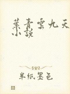 叶青云九天玄宗小说