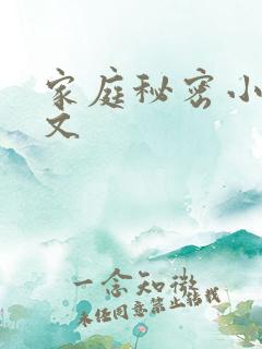 家庭秘密小说全文