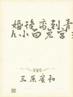 婚后脔到青梅哭h小白兔宫交h