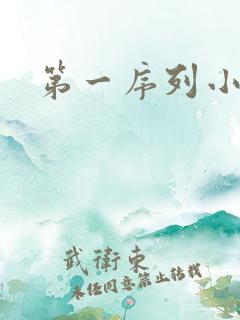 第一序列小说