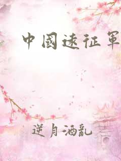 中国远征军下载