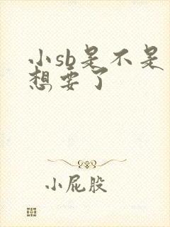 小sb是不是又想要了