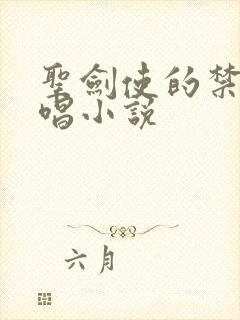 圣剑使的禁咒咏唱小说