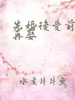 先婚后爱前妻难再娶