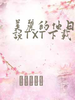 美丽的他日剧小说TXT下载