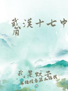 武汉十七中女主角