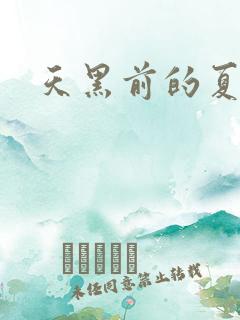 天黑前的夏天