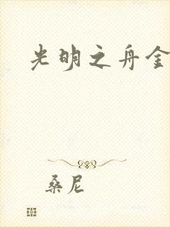 光明之舟金手指