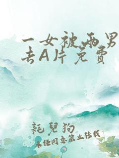 一女被两男桶进去A片免费