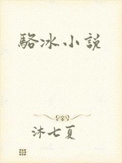 骆冰小说