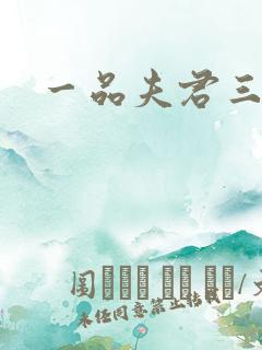 一品夫君三流妻