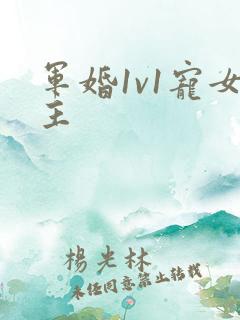 军婚1v1宠女主