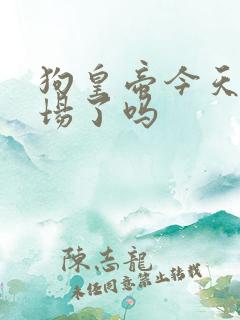 狗皇帝今天火葬场了吗