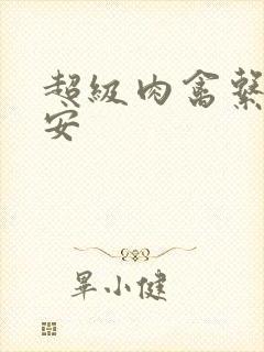 超级肉禽系统保安