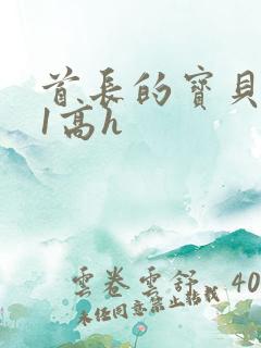 首长的宝贝1v1高h