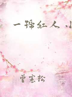 一号红人 小说
