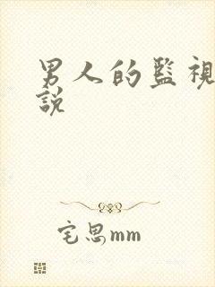 男人的监视下小说