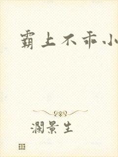 霸上不乖小逃妻